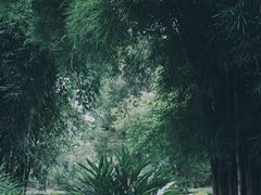 -晓港公园