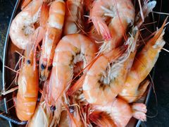 -小象钓虾·营地烧烤(洛溪店)