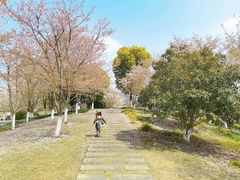 -径山花海