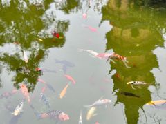 -吴作人艺术馆