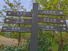 -南山植物园