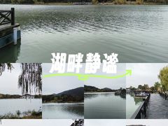 -长广溪湿地公园