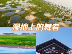 -鄱阳湖国家湿地公园