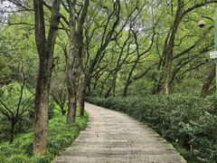 -宁波市保国寺古建筑博物馆