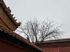 -故宫博物院(故宫)