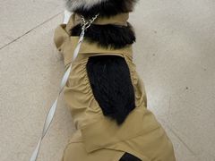 -爱妮康宠物医院·干细胞免疫细胞·肿瘤·心脏(张江店)