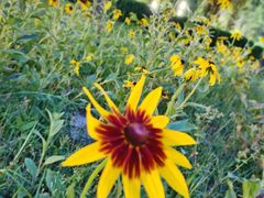 -廊坊文化艺术中心