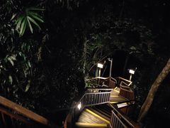 -三亚亚龙湾人间天堂鸟巢度假村