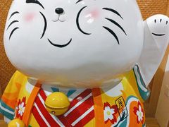 -屋虎猫馆(宝安大仟里店)