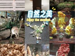 -湖南省地质博物馆