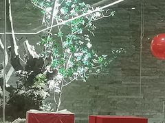 -阿斯牛牛·凉山菜(新会展店)