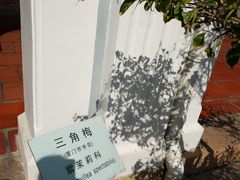 -集美学村