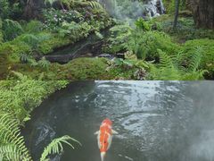 -Chom Cafe and Restaurant