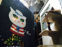 -猫咪博物馆(顶澳仔猫街店)