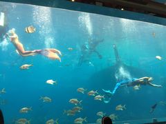 -瑞德姆美人鱼海底演艺主题餐厅(亚龙湾店)