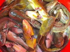 -谭记石锅鱼府(三道堰店)