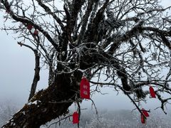 -硗碛藏寨·神木垒景区