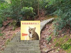 -十里琅珰
