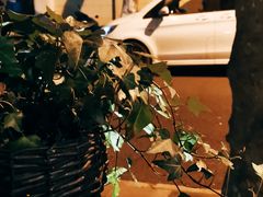 -Apollo·西班牙小酒馆(安福路店)