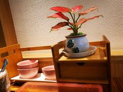 -韩萍老南京馄饨(河西万达店)