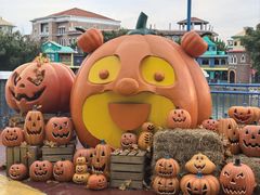 -青岛方特梦幻王国