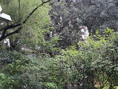 -满都海公园