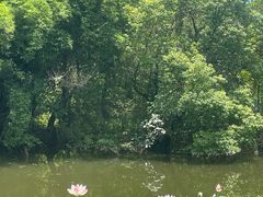 -福州大学(旗山校区)