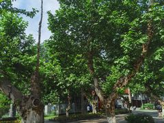 -四川大学(华西校区)