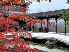 -秋霞圃