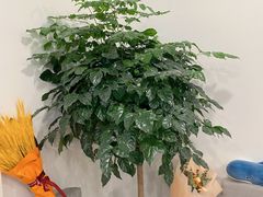 -鲸励母婴月嫂(望京店)