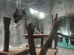 -武汉动物园