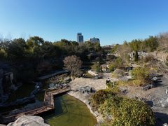 -上海吴淞炮台湾国家湿地公园