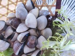 -马家斑.鲜鱼火锅(松湖万科店)