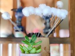 -耳语轻风专业采耳馆(古北花世界商业广场店)