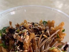 -邓氏大薄片