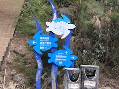 -广东惠东海龟国家级自然保护区