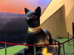 -西安电影制片厂