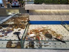 水产区-川骄海鲜自助(河东店)
