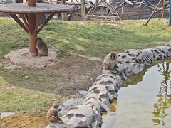-郑州银基国际旅游度假区