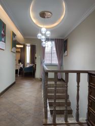 -罗亚帝·NASHOW纳秀形象设计