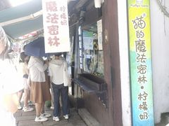 -猫的魔法密林(衣裳街店)