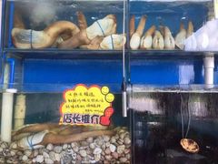 -蚝专家(北滘店)