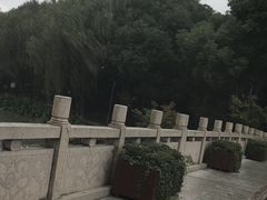 -昆山城市生态森林公园