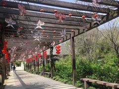 -白马涧龙池景区