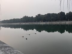 -东华门大街小区