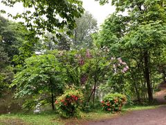 -北海道厅旧本厅舍(旧本庁舎)