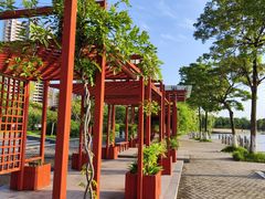 -九里湖国家湿地公园