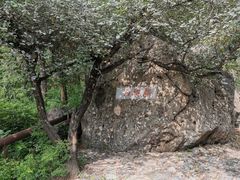 -阳台山自然风景区