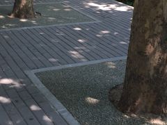 -朝阳公园游乐园