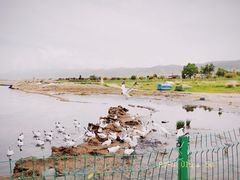 -青海湖国家重点风景名胜区
